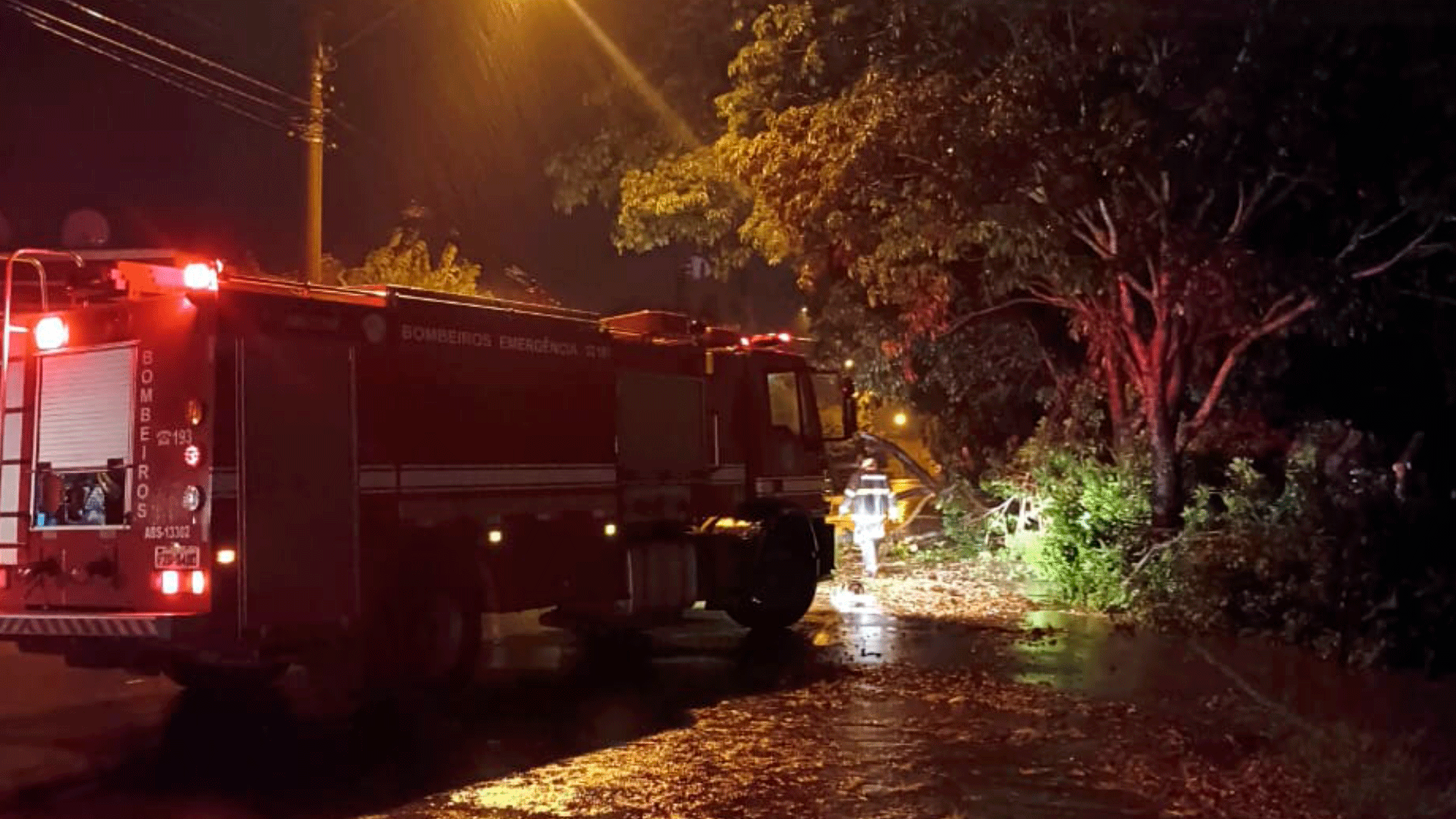 Chuva forte provoca queda de árvore em rua de Santa Fé do Sul