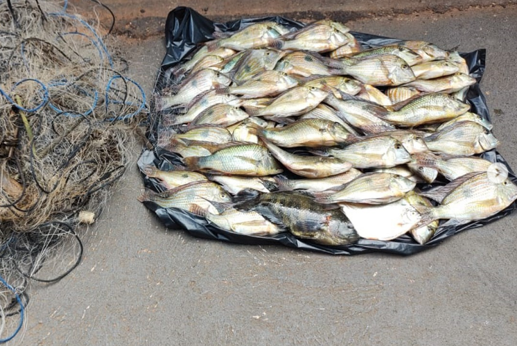 Pescador profissional é autuado pela PMA por pesca irregular em Rubinéia