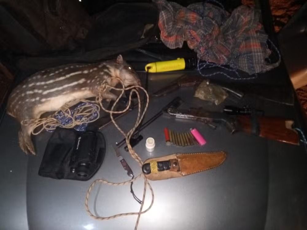 Homem é preso em flagrante por matar paca durante caça proibida em Urânia