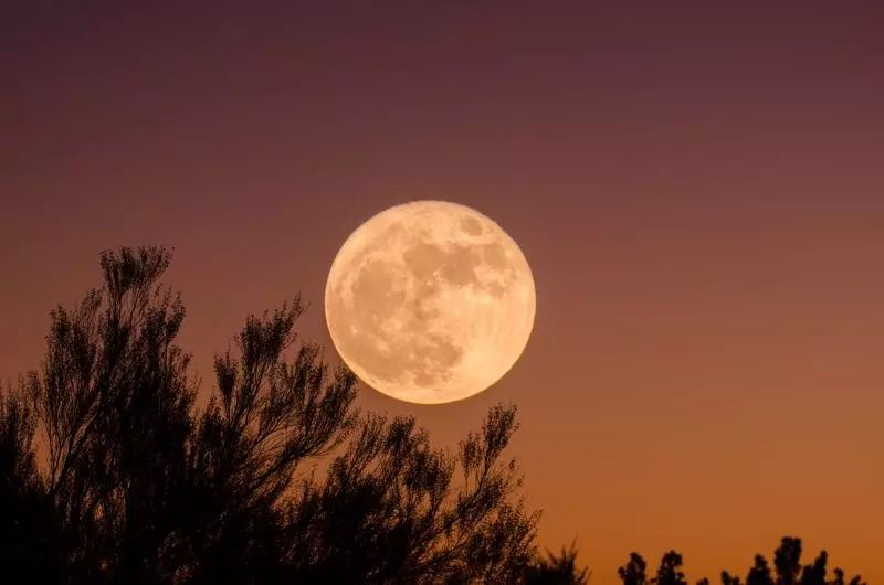 Lua vai “parar no céu” nesta sexta-feira: entenda o fenômeno da “grande paralisação lunar”