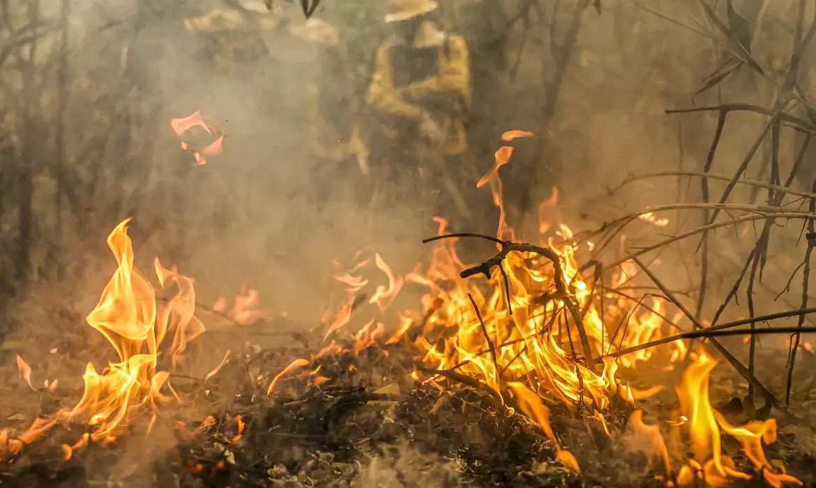 PF investiga possíveis causas de incêndios no Pantanal, diz Marina Silva