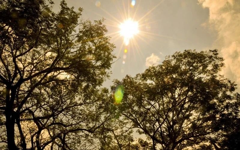 Primavera começa com alerta de calor intenso e risco de incêndio em Santa Fé do Sul e região