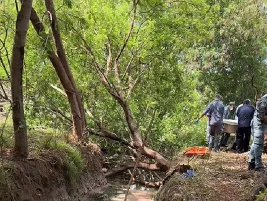 Homem é encontrado morto com corte no pescoço em córrego em Jales; suspeito é preso