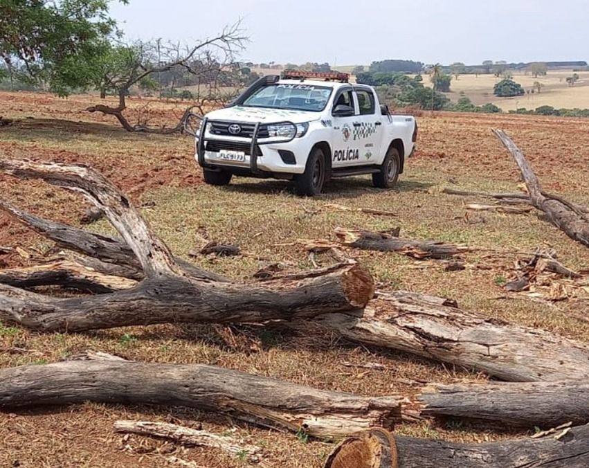 Proprietária de imóvel rural é autuada por corte irregular de árvores em Santa Fé do Sul