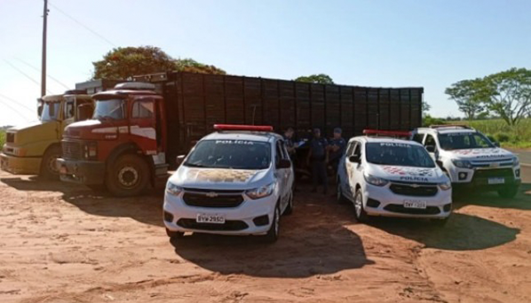 Quadrilha é presa por tentativa de furto de gado em Guarani d’Oeste