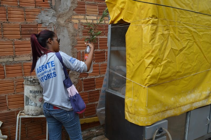 Casos de dengue disparam em Fernandópolis e município decreta emergência