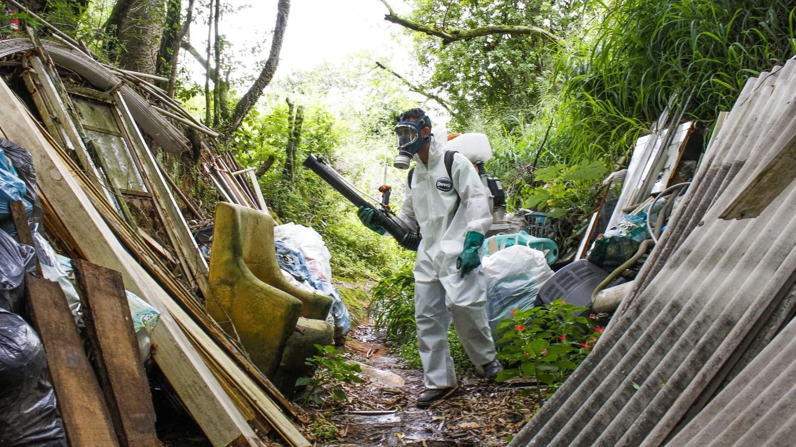 Noroeste paulista ultrapassa 100 mortes por dengue; Potirendaba e Estrela D’Oeste registram novos óbitos