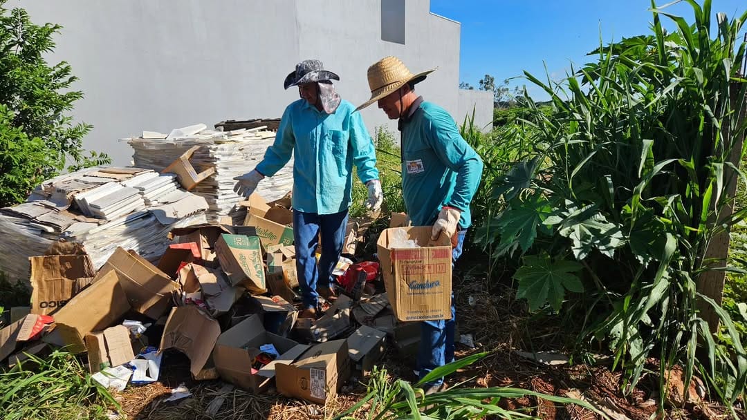 Donos de terrenos em situação de abandono serão multados em Palmeira D'Oeste