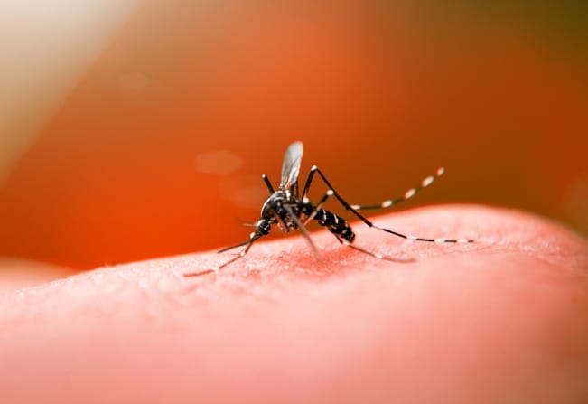 Santa Fé do Sul registra queda de mais de 95% nos casos de dengue