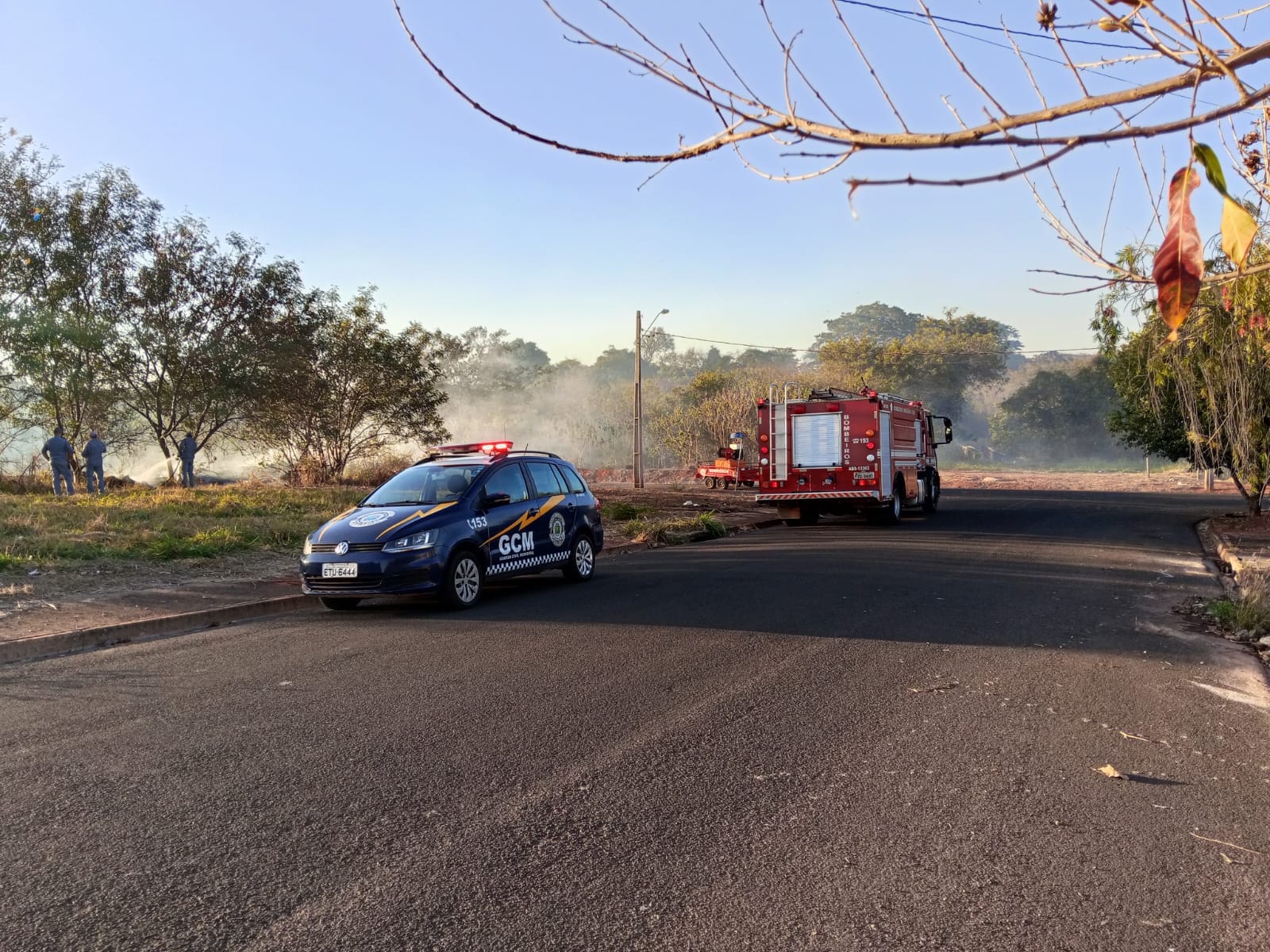 Incêndio em área de preservação mobiliza Bombeiros no bairro Village, em Santa Fé do Sul