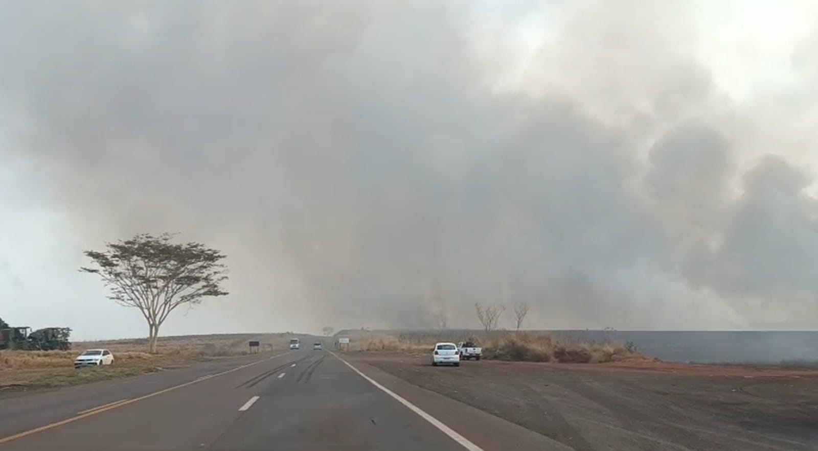 VÍDEO: incêndio de grandes proporções atinge canavial e pastagens em Andradina