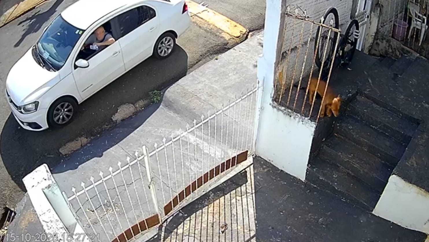 VÍDEO: Polícia investiga homem suspeito de envenenar cães com “chumbinho” em Jales