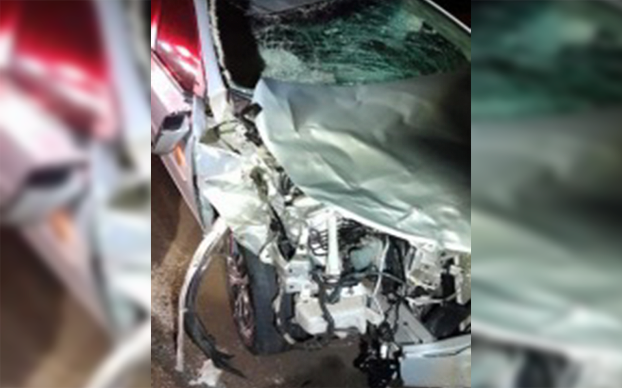 Passageiro fica gravemente ferido após carro bater em boi na Rodovia Ettore Bottura em Santa Fé do Sul