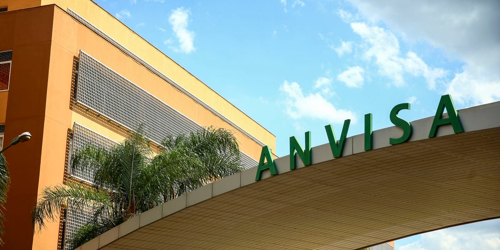 Anvisa manda recolher vinagre, bebida vegetal e picolé por oferecem risco à saúde