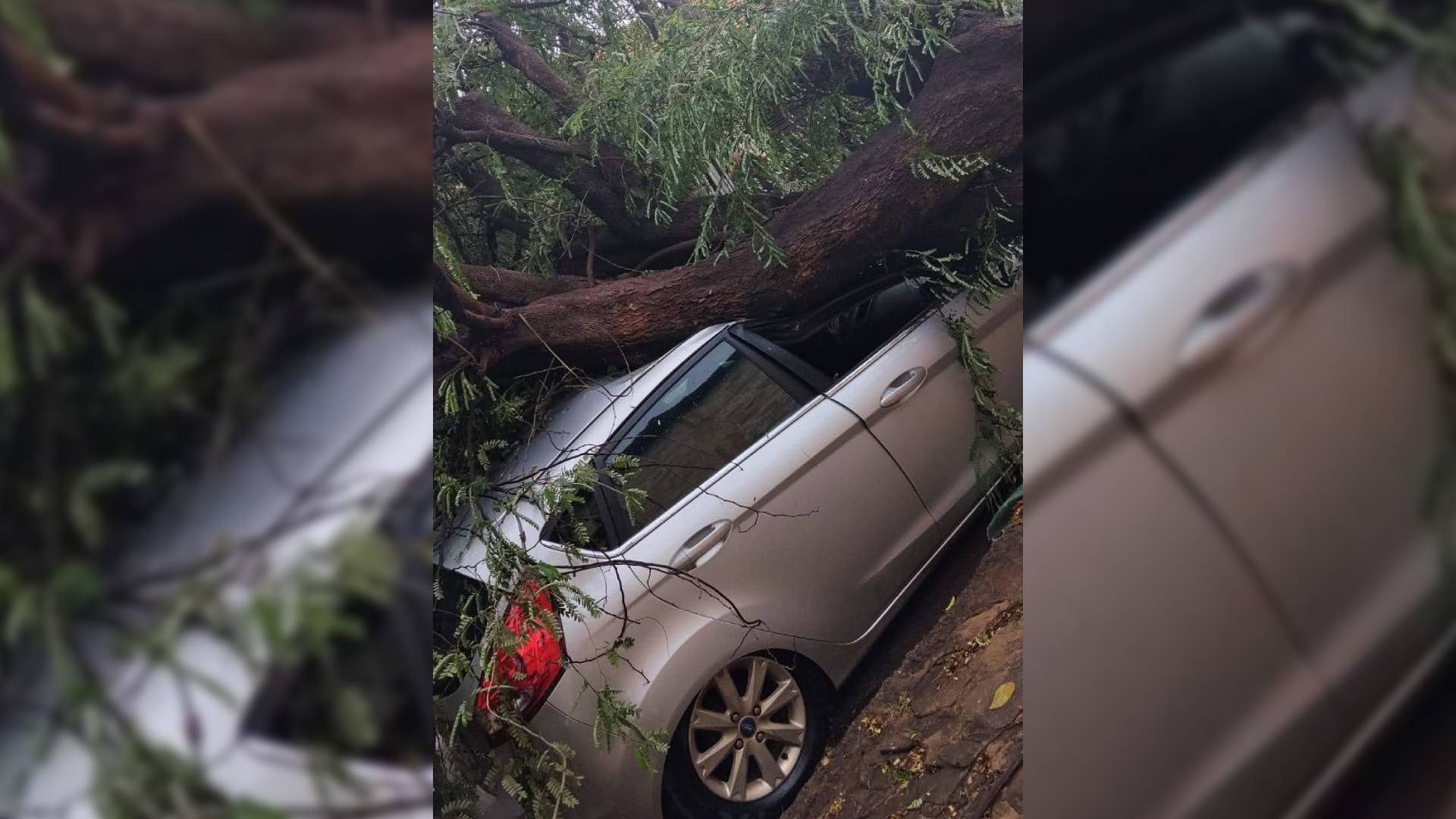 Temporal com ventos de 55 km/h causa danos e deixa moradores sem energia em Ilha Solteira