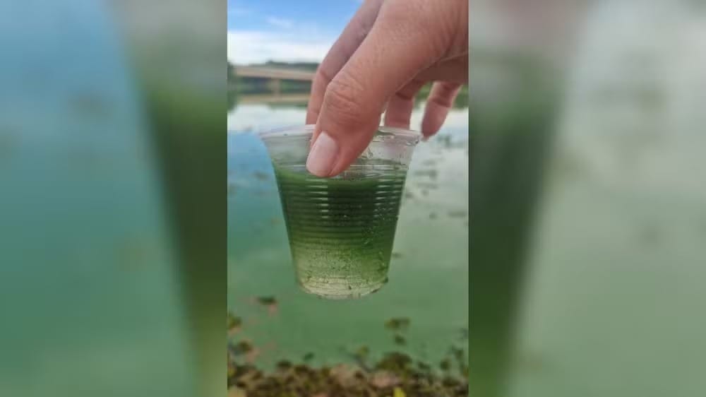 Qualidade da água do Rio Tietê piora no noroeste paulista e apresenta aumento de poluentes