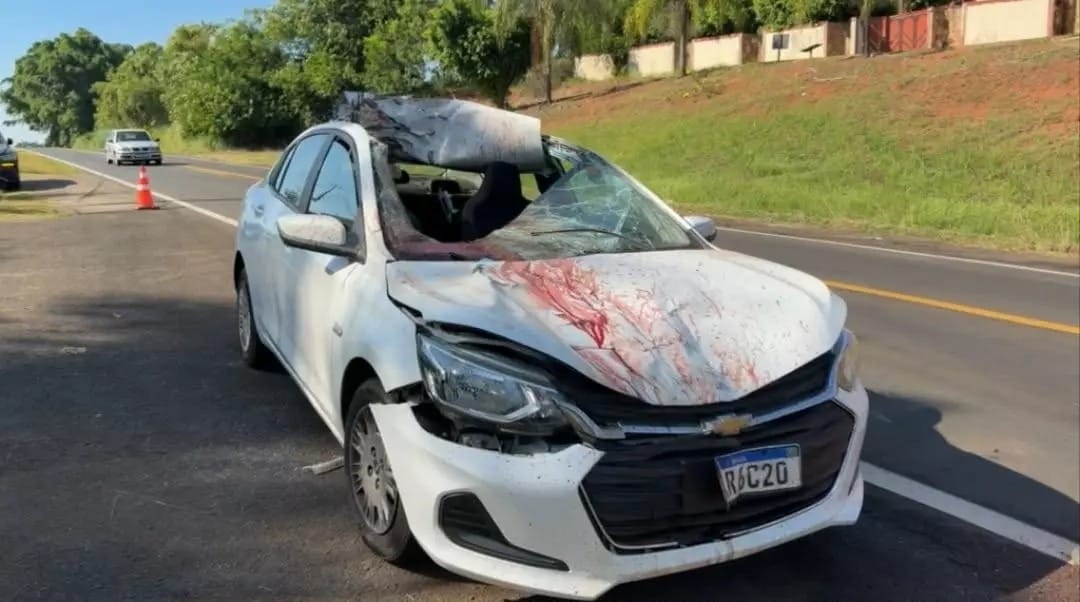 Três pessoas ficam feridas após acidente com cavalo em rodovia da região