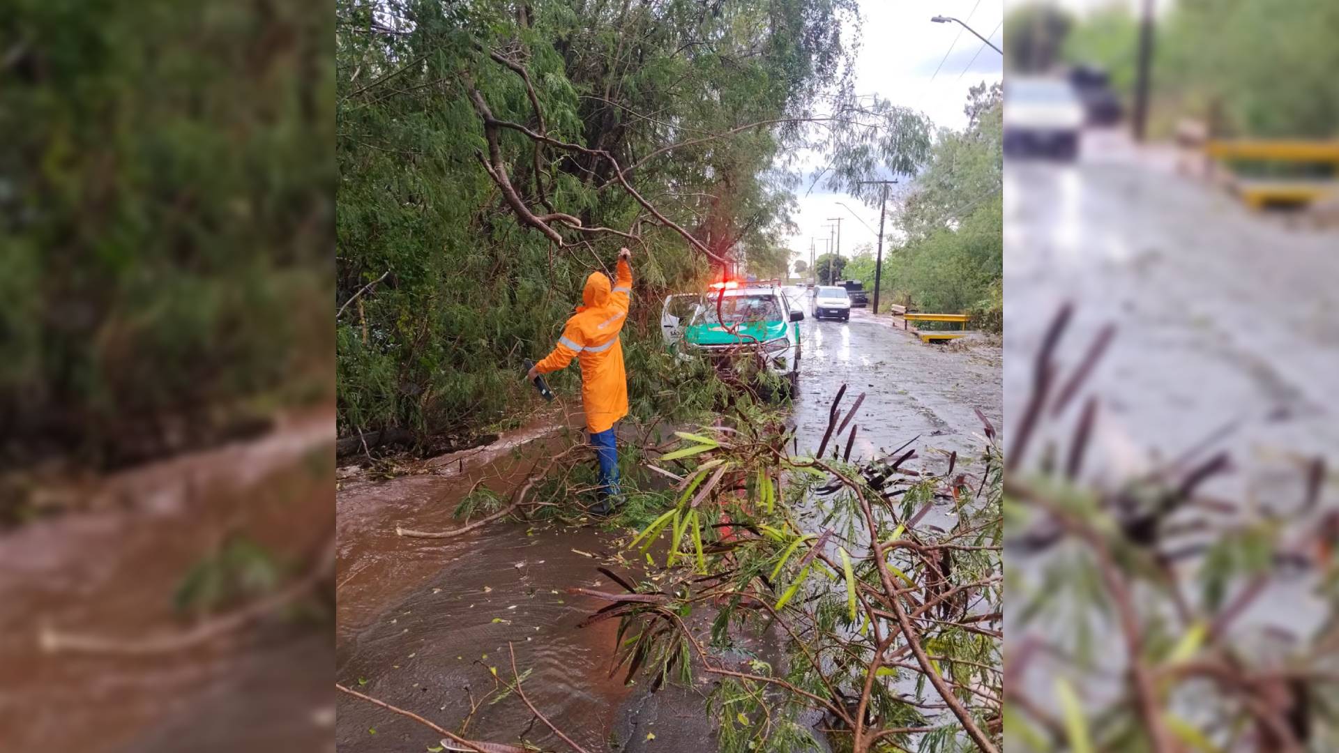 VÍDEO: Ventania com ventos de até 100 km/h derruba árvores e causa estragos em Andradina