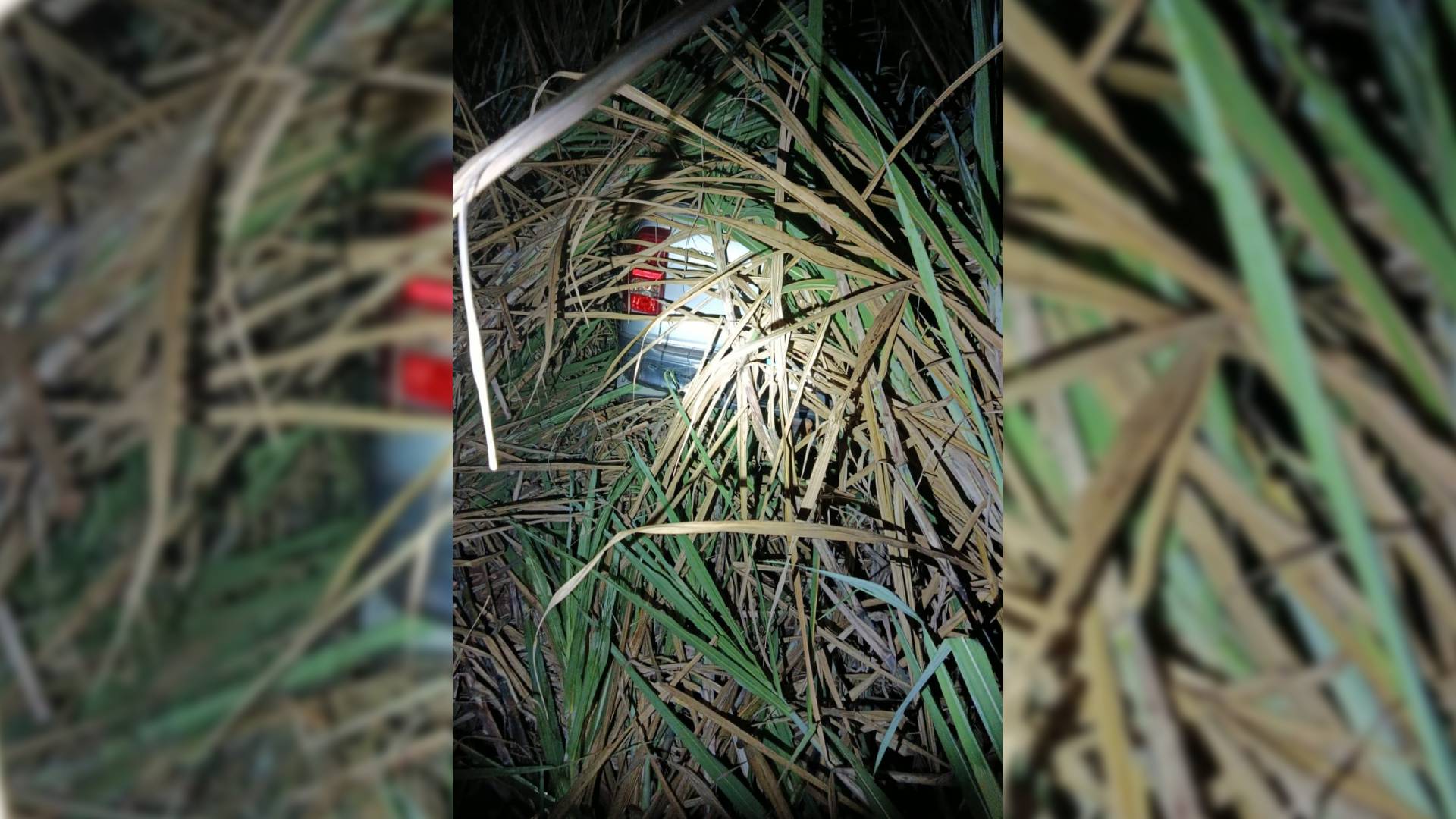 Caminhonete furtada em Jales é encontrada em canavial na zona rural de Pontalinda