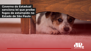 Governo de São Paulo sanciona lei que proíbe fogos de artificio com estampido em todo o estado