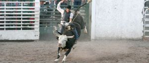 Santa Rita D'Oeste terá rodeio em prol ao Hospital do Amor de Jales no dia 18 e 19 de dezembro