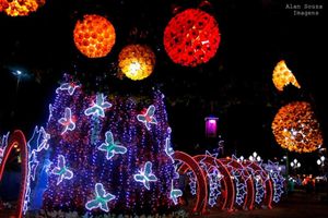 Sonho de Natal de Santa Fé do Sul termina domingo, dia 9 de janeiro