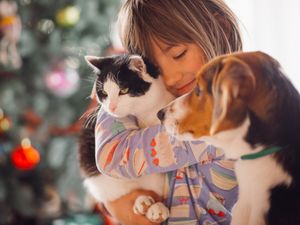 Prefeitura de Rubinéia irá investir mais de R$ 60 mil na causa animal