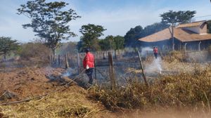 Incêndio atinge área de pastagem  de sítios em Rubinéia e destrói três hectares