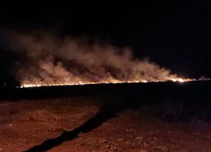 Fogo consome um hectare de área de pastagem no Clone em Rubinéia