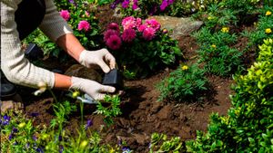 Santa Fé do Sul está com inscrições abertas para curso gratuito de jardinagem