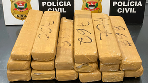 Polícia Civil prende motorista com 13kg de maconha em Palmeira D'Oeste