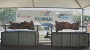 Rubinéia terá 2º 'Boi no Rolete' gratuito em mais um Réveillon