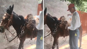 Estudante de Icém vai à escola de mula para prestar o Provão Paulista