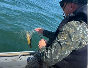 PMA autua pescadores por método de pesca não permitido em Rubinéia
