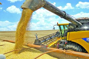 PIB do Agro em São Paulo cresce 11,4% no primeiro bimestre de 2024, revela Fundação Seade