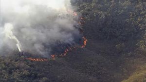 Estado de São Paulo registra redução expressiva de 41% nos focos de queimadas em junho
