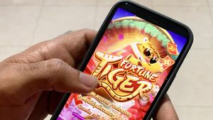 Jogo do Tigrinho: delegado alerta sobre riscos e recomenda alternativas mais seguras de entretenimento