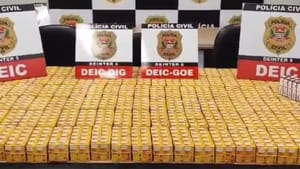 Polícia Civil apreende lâmpadas automotivas com suspeita de adulteração em depósito de Rio Preto