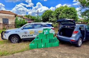 Noroeste paulista registra recorde de apreensões de drogas em outubro
