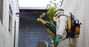 Santa Fé do Sul decreta situação de emergência após surgimento de sorotipo da dengue com maior gravidade e infecção