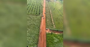 Operação da Polícia Ambiental em Aparecida d'Oeste detém quatro pessoas, apreende armas e produtos ilegais