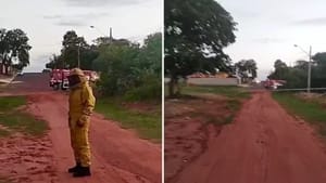 Mulher morre após ser atacada por enxame de abelhas em Andradina