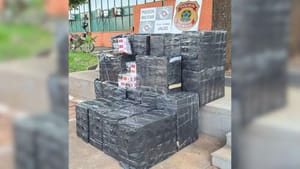 Mais de 30 mil maços de cigarros contrabandeados são apreendidos em Jales