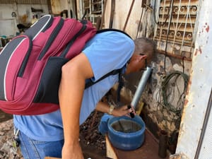 Santa Fé do Sul registra duas mortes por dengue em 2025; outra morte é investigada