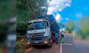 Motorista atinge árvore ao parar no acostamento e trava trecho da Rodovia Ettore Botura, em Santa Fé do Sul