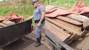 Homem é preso após furtar dormentes da linha férrea em Fernandópolis