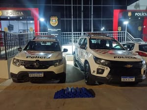 Homem é preso com mais de 24 kg de maconha durante operação na Marechal Rondon, em Castilho