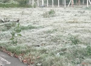 Região tem madrugada mais fria do ano e geada