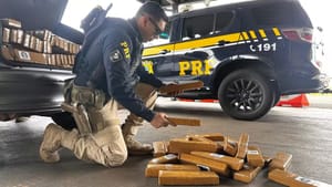 PRF Apreende Mais de 630 Kg de Maconha em Rodovia Vicinal entre Tabapuã e Uchoa
