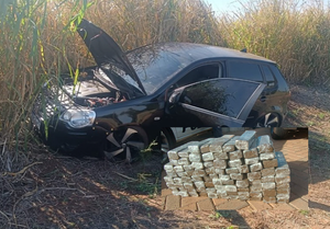 Operação na SP-320 apreende 45 kg de maconha após suspeito fugir e abandonar carro